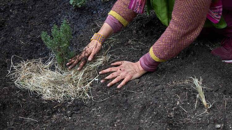 Alejandra Riera. Parterre de sol. Jardín de las mixturas. (Foto Román Lores)