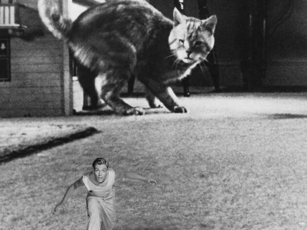 El increíble hombre menguante El increíble hombre menguante
