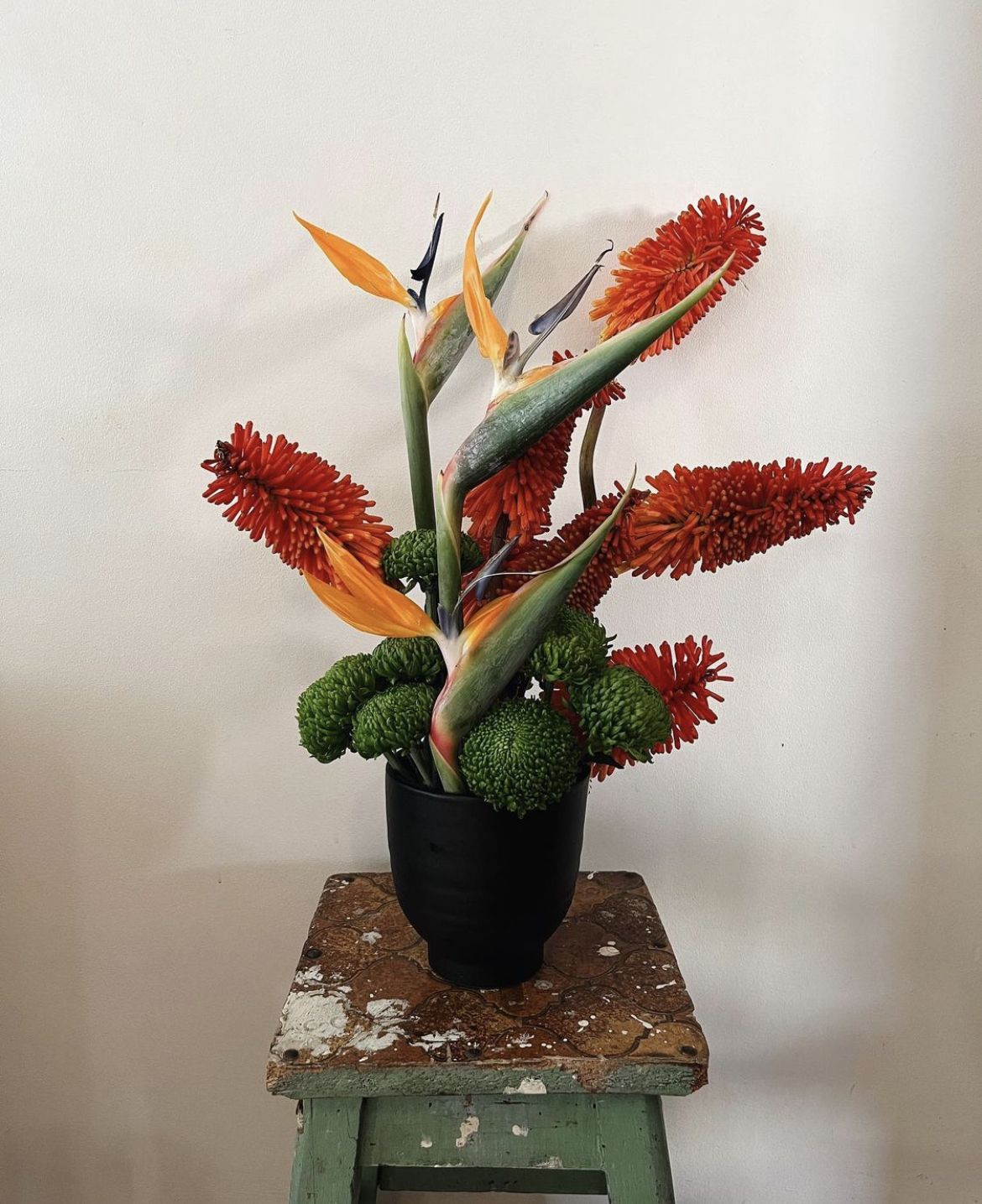 Babel Bloom