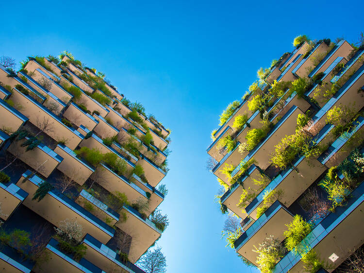 ミラノは「都市の森」をどう築こうとしているのか