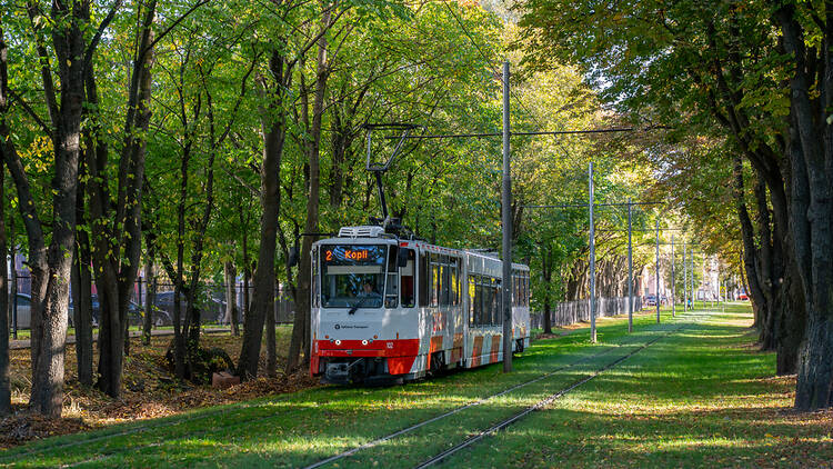 エストニア、公共交通の無料化を中心とした都市整備