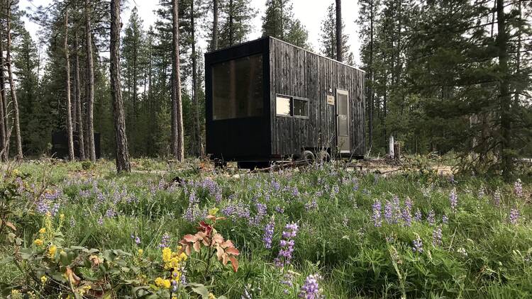 Tiny Cabins at Getaway Machimoodus 