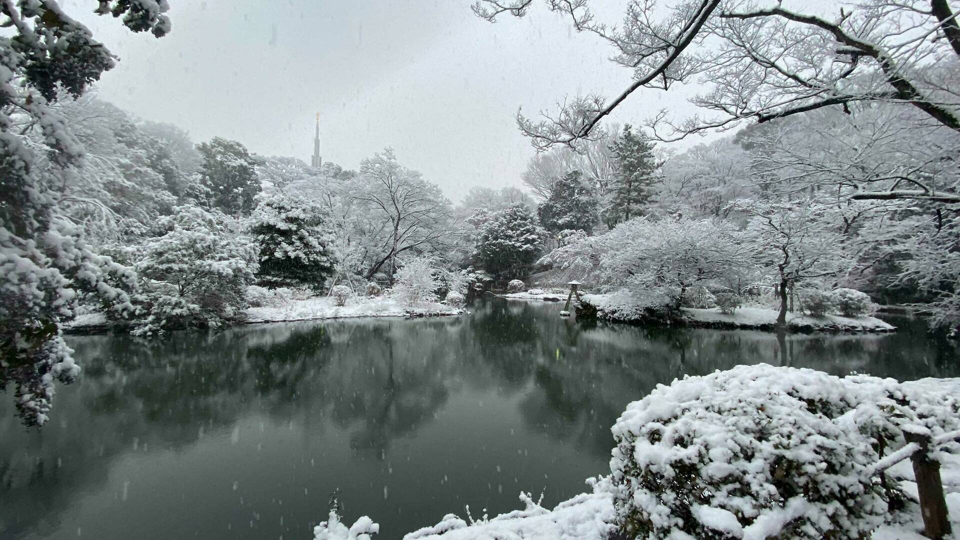 Tokyo might get its first snowfall of 2023 on Tuesday January 24