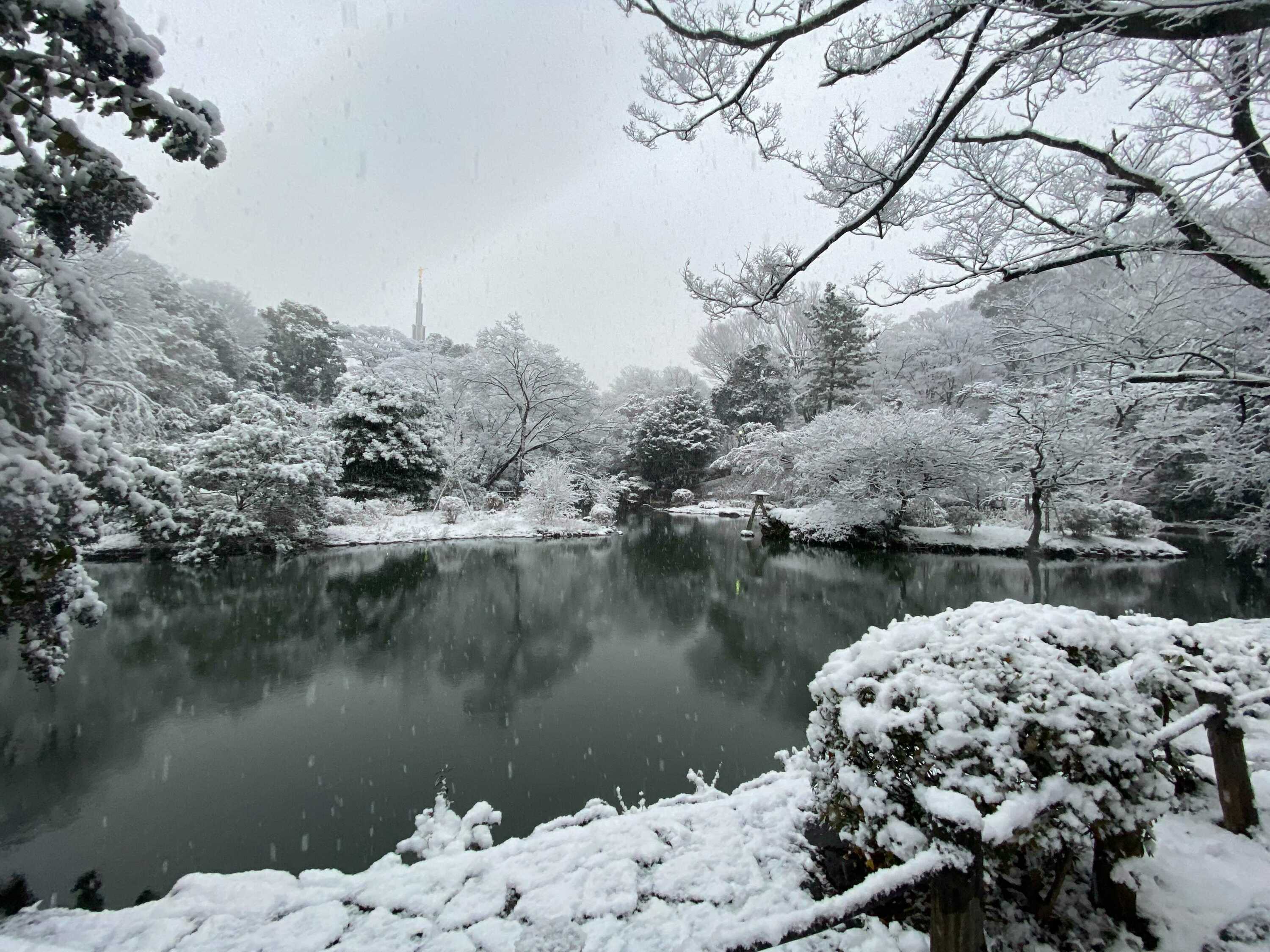 Snow Falls in Tokyo for the First Time in November Since 1962