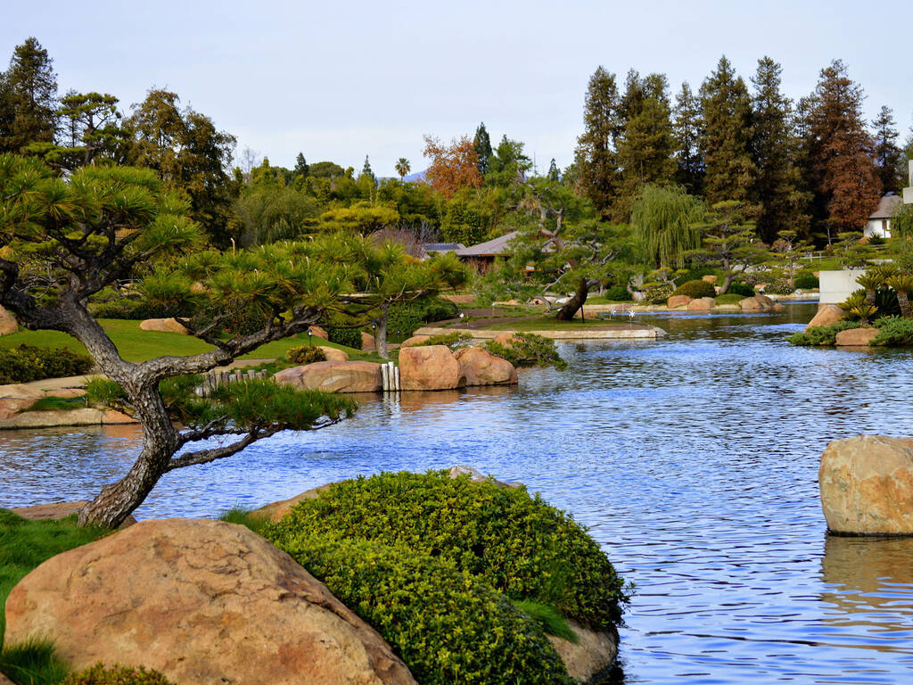 Best Botanical Gardens and Hidden Oases in Los Angeles