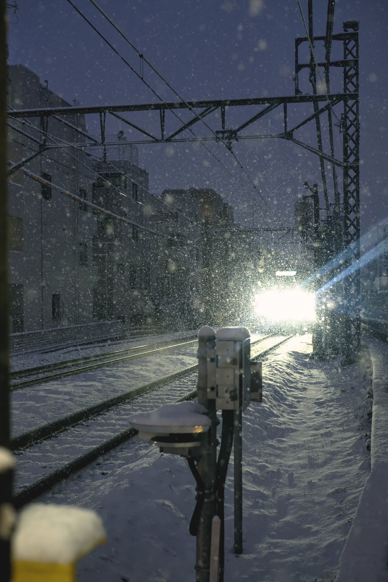 Photo: Kisa Toyoshima