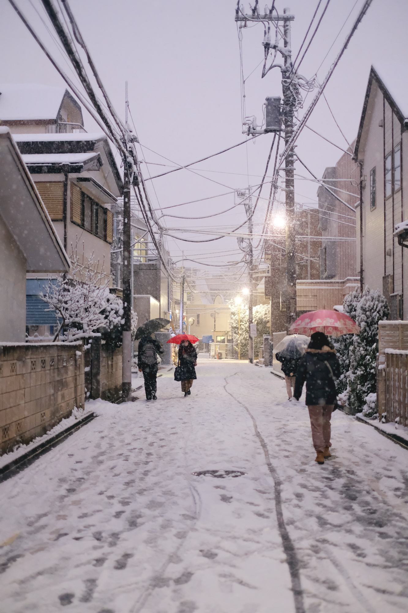 Photo: Kisa Toyoshima