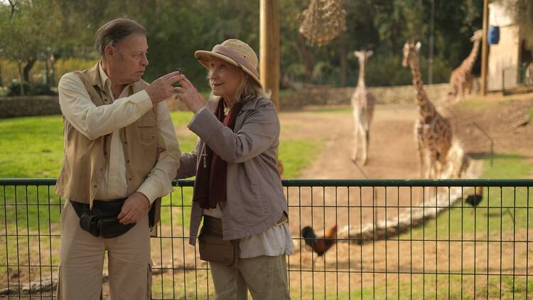 A scene at the zoo from Israeli film Greener Pastures.