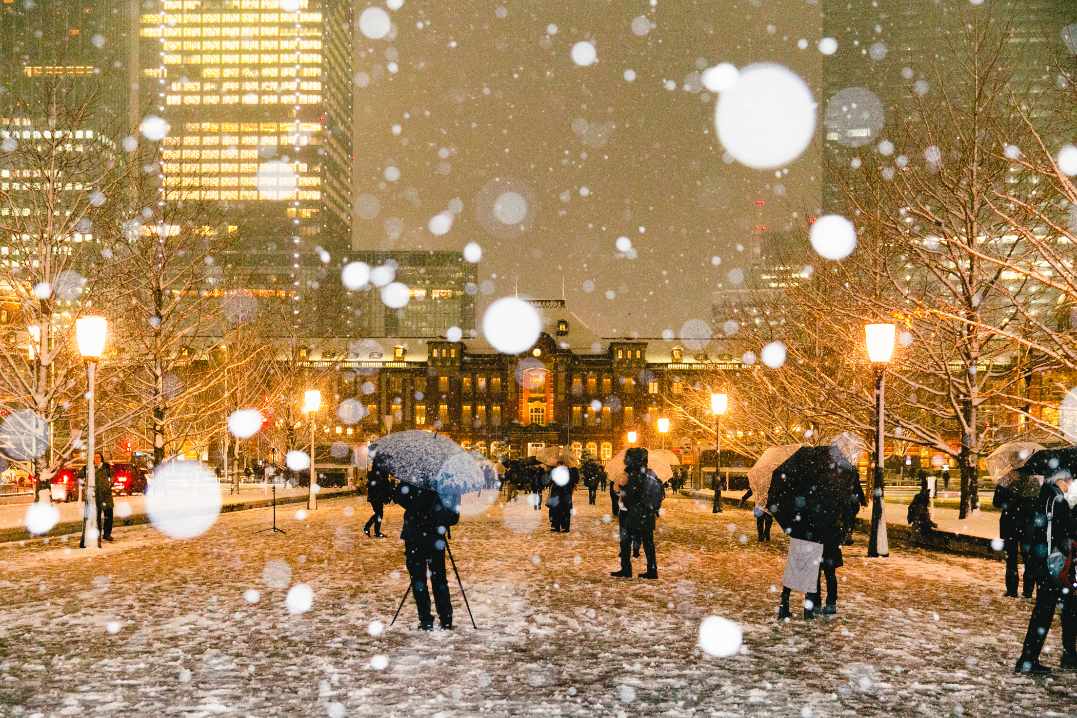 Photo Of The Day 22年東京の初雪