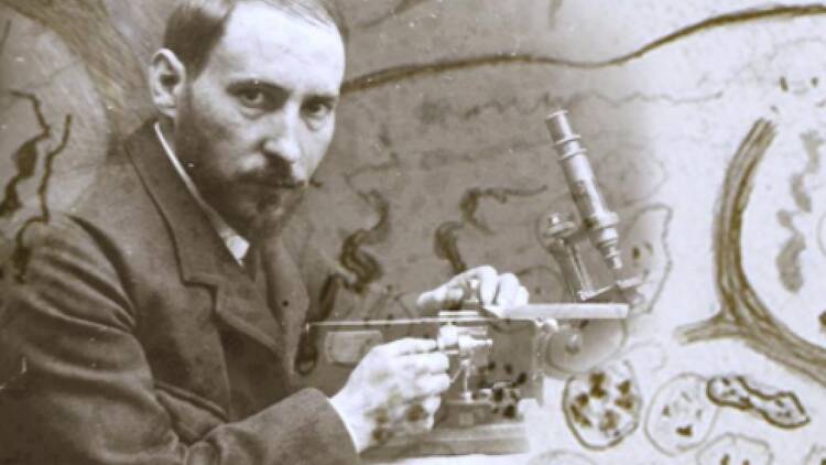 Santiago Ramón y Cajal (Museo Nacional de Ciencias Naturales)