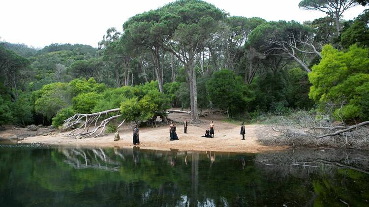 pessoas numa floresta