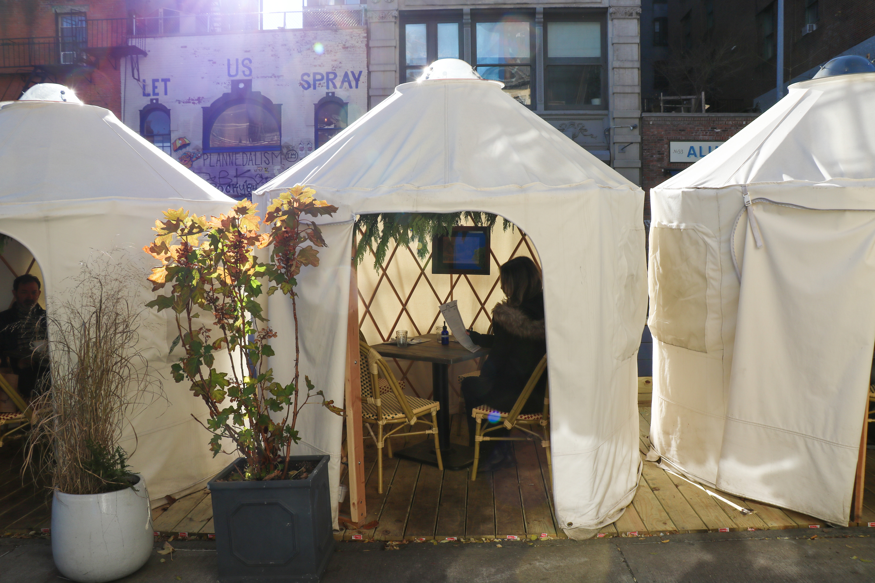 Yurts at Jolene