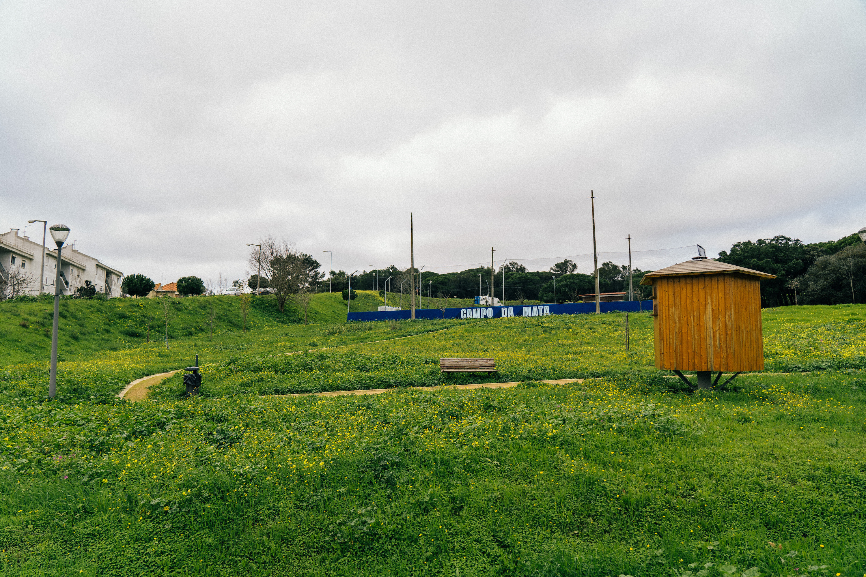 campo na ajuda