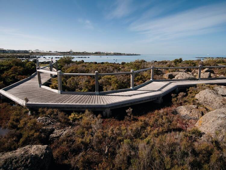 Jawbone Marine Sanctuary, Williamstown