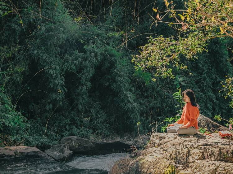 Woman Sitting on Brown Stone Near Green Leaf Trees at Daytime