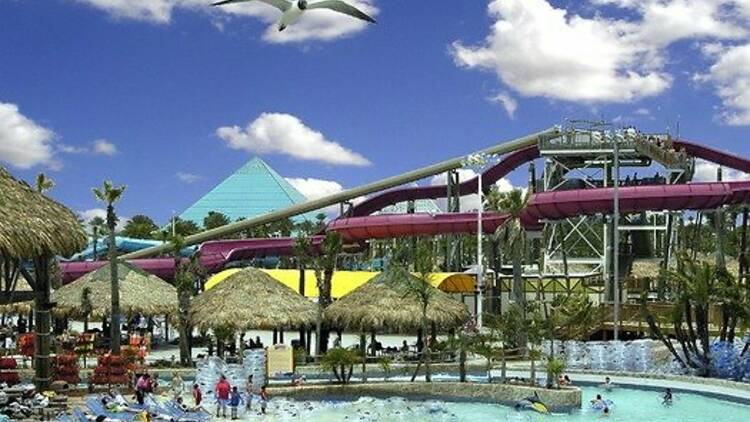 Schlitterbahn Galveston Island