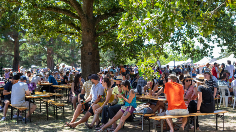 A large crowd of people sitting on picnic tables at the Ballarat Beer Festival.