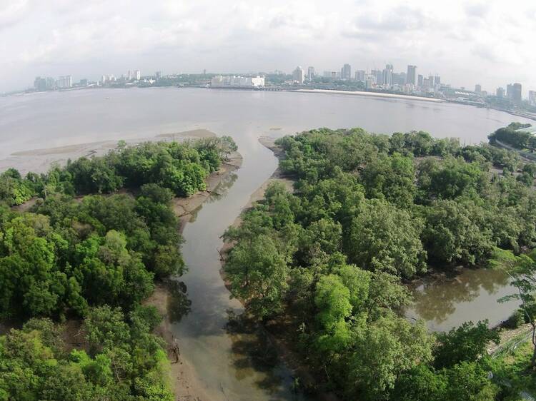 Mandai Mangrove and Mudflat