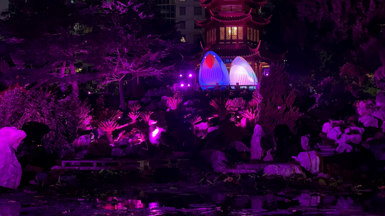 Nature Illuminated at the Chinese Garden of Friendship