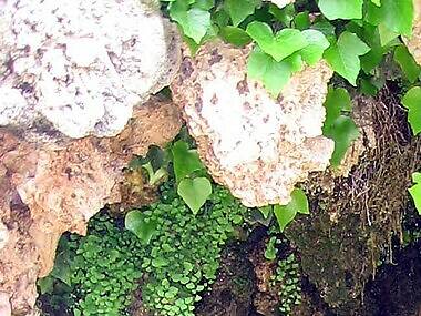 Obres d'art secretes de Barcelona que potser no coneixes Obres d'art secretes de Barcelona que potser no coneixes