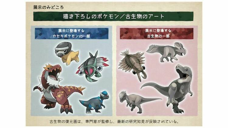Pokemon Fossil Museum Things To Do In Tokyo