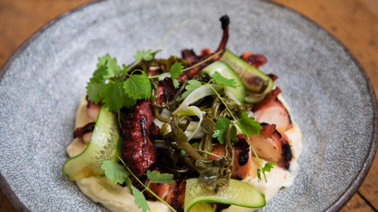 Charred octopus with carob glaze on a bed of puree