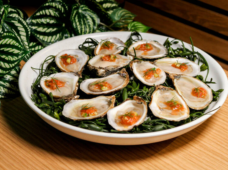 Chicago restaurants offering romantic Valentine’s Day specials Chicago restaurants offering romantic Valentine’s Day specials