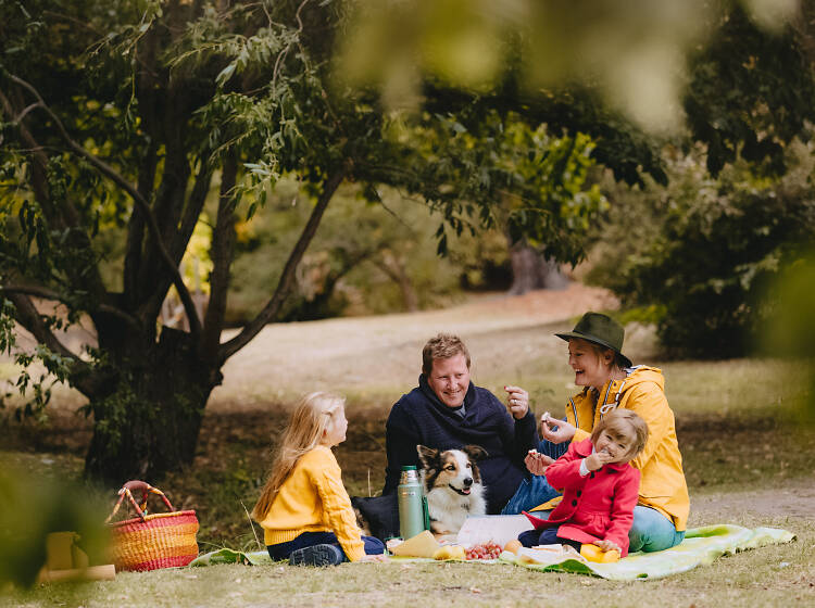 A family of four and a dog sitting on a picnic blanket at the Macedon Ranges.