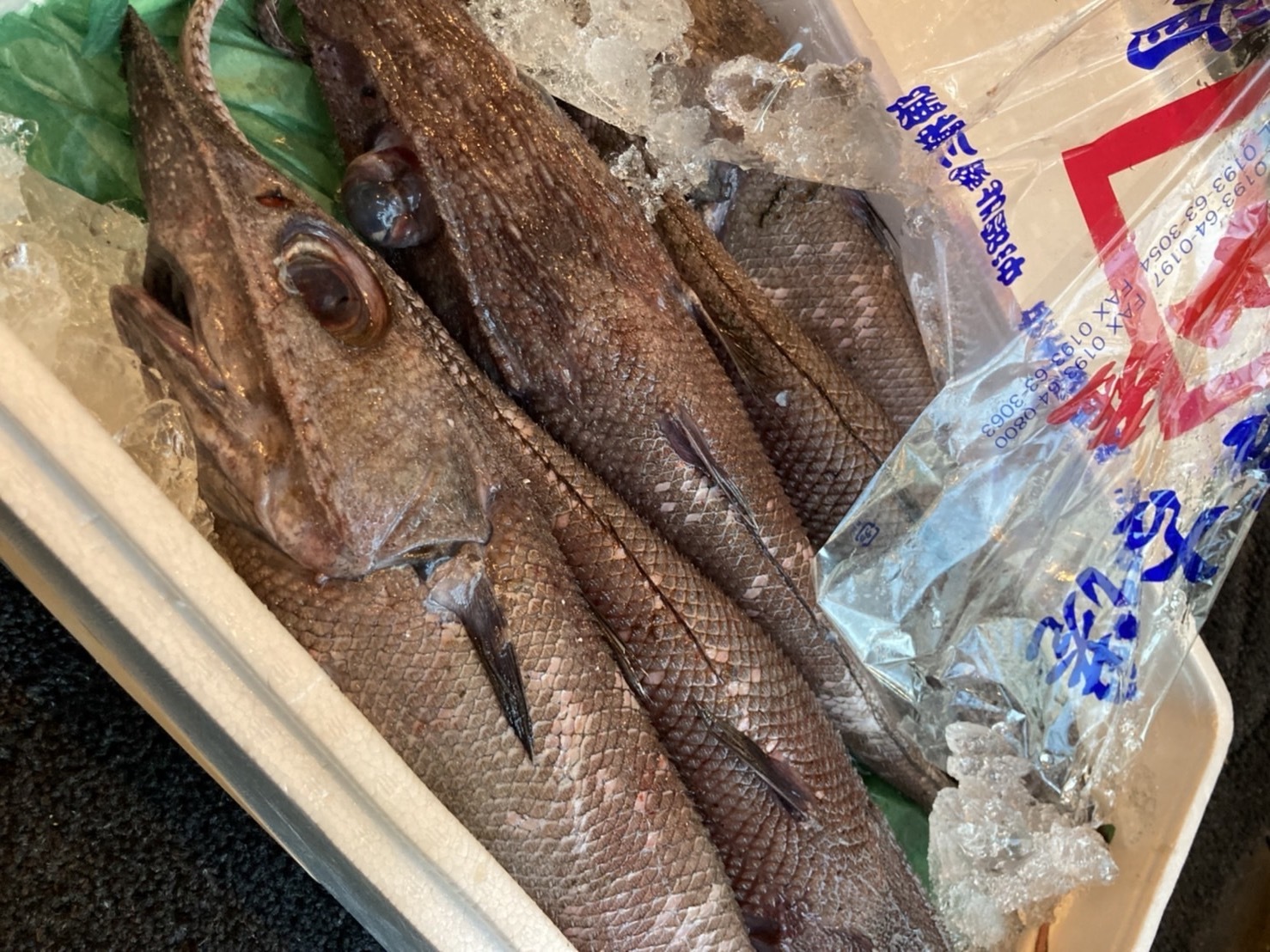 流通が少ない、珍しい魚は買い手がつかないことも