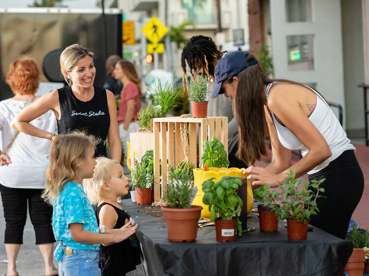 Surfside Farmers Market Surfside Farmers Market