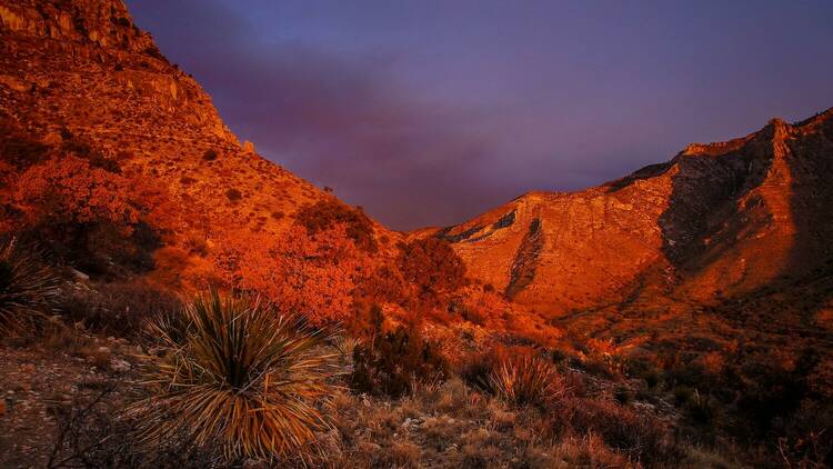 Guadalupe Mountains National Park, TX