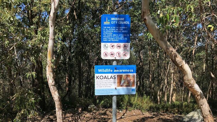 Koala signposting at a bushwalk in Brisbane