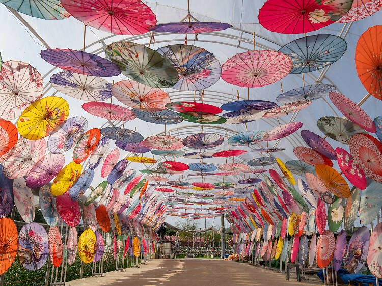 Shun Sum Yuen Farm turns into a mini Japan with themed installations