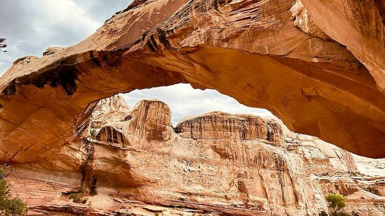 A photo of red rock formations at Capitol Reef National Park