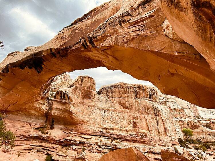 A photo of red rock formations at Capitol Reef National Park