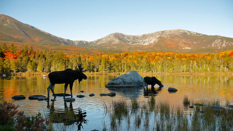 Baxter State Park, ME