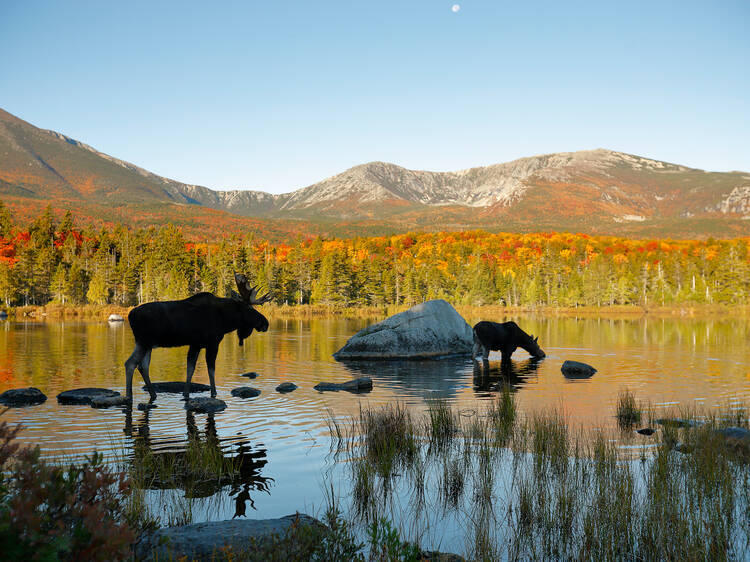 Baxter State Park, ME