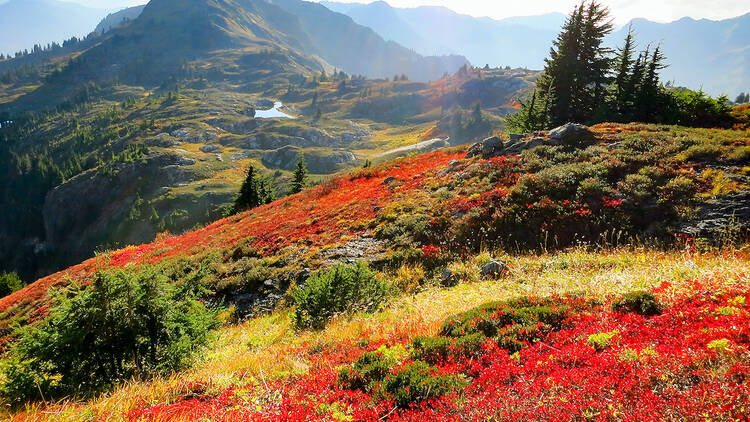 North Cascades National Park, WA