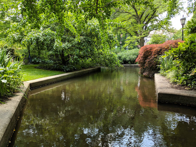 University of Chicago Botany Pond