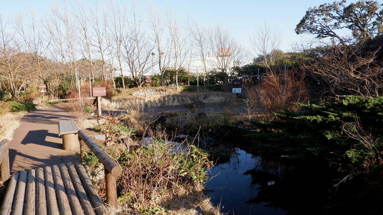 ビオトープ（Photo:Tomomi Nakamura）