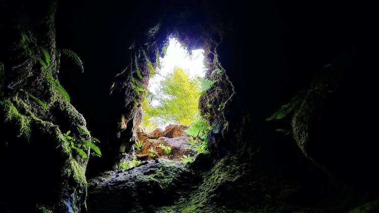 Ape Cave, Washington