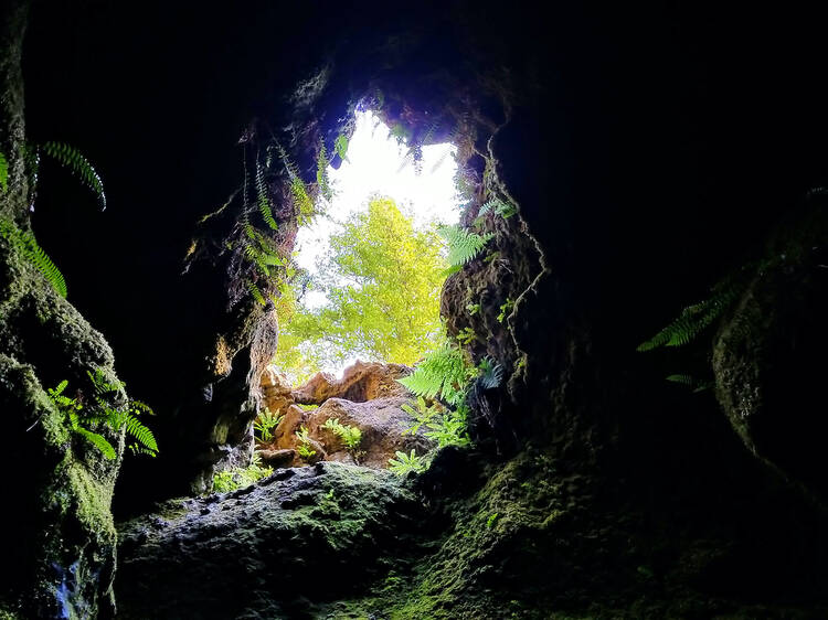 Ape Cave, Washington