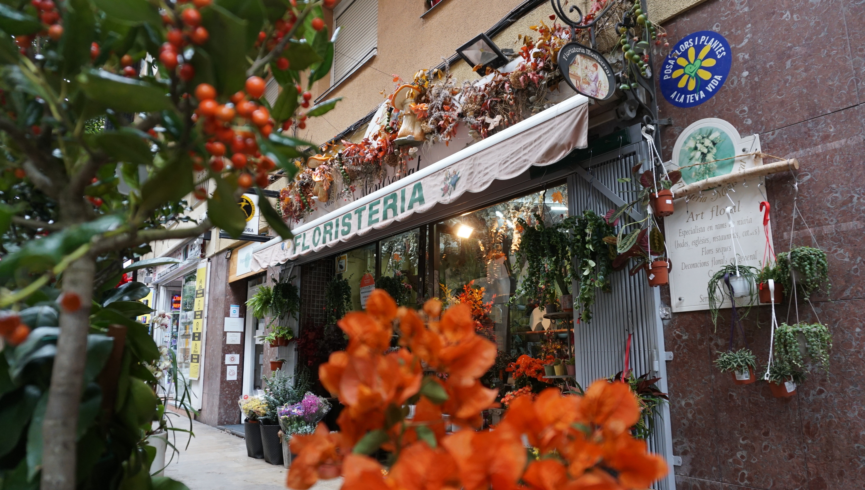 El Sant Andreu de Ginestà