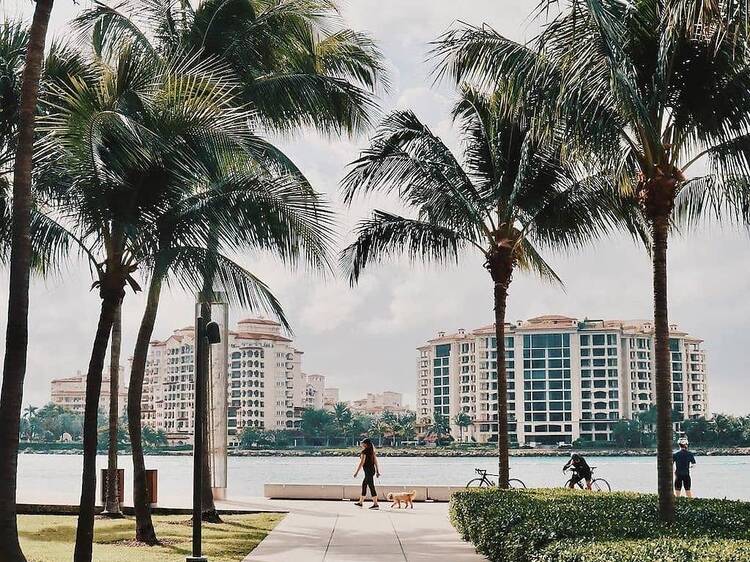 are dogs allowed in miami beach parks