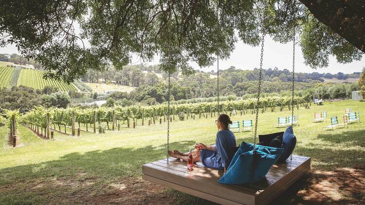 Woman looking over the vines at Tuck's