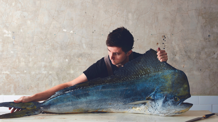 Josh Niland leans across an enormous mahi mahi fish