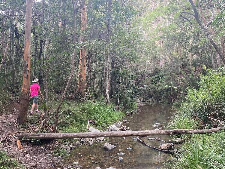 Turrbal Circuit and Golden Boulders Circuits, Bellbird Grove