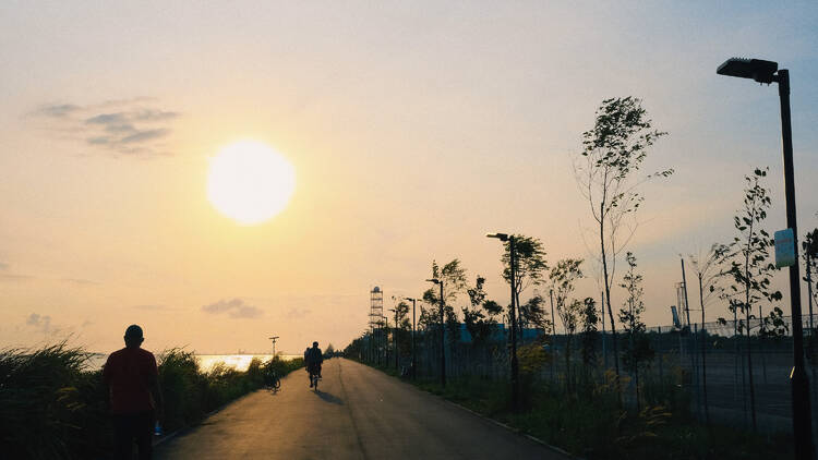 After the sunset watch on sale online