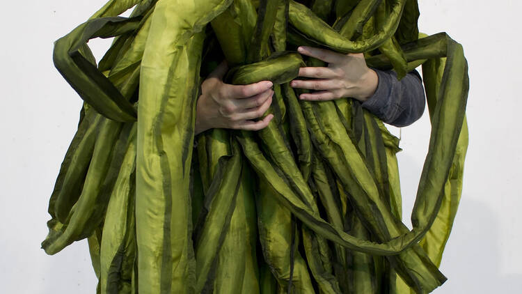 A Great Seaweed Day: Gut Weed (Ulva Intestinalis) by Ingela Ihrman