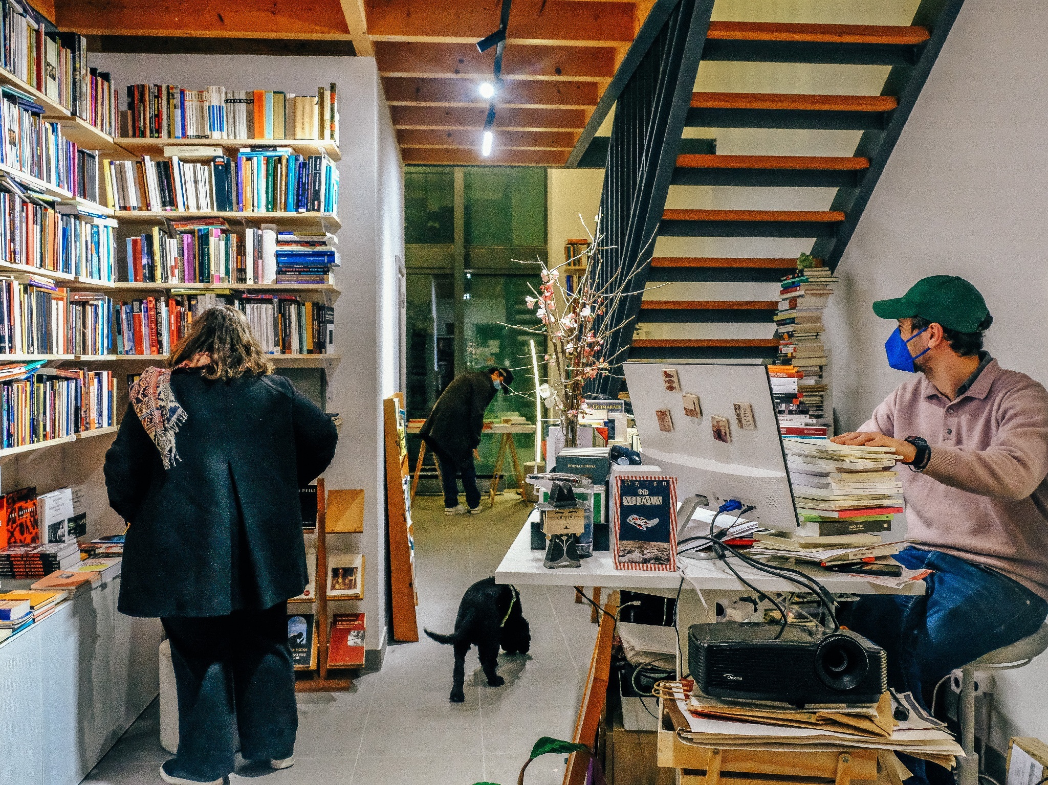 Livraria, Poesia, Poetria